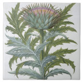 Bas著「Hortus Eystettensis」からのCardoon、 タイル (正面)