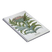 Bas著「Hortus Eystettensis」からのCardoon、 ノートブック (右側)