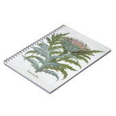 Bas著「Hortus Eystettensis」からのCardoon、 ノートブック (左側)