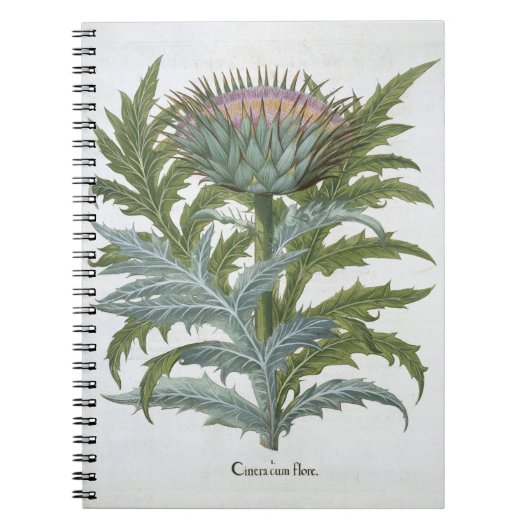 Bas著「Hortus Eystettensis」からのCardoon、 ノートブック (正面)