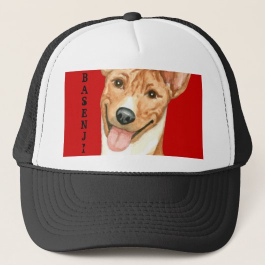 Basenjiカラーブロック キャップ (正面)