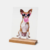Basenji アクリルサイン (傾斜)