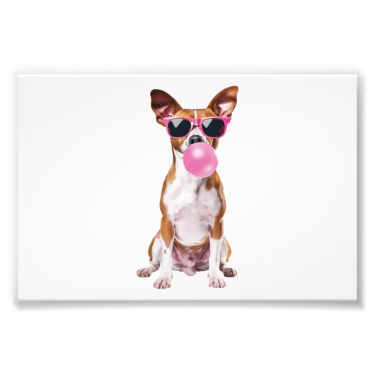 Basenji フォトプリント (正面)