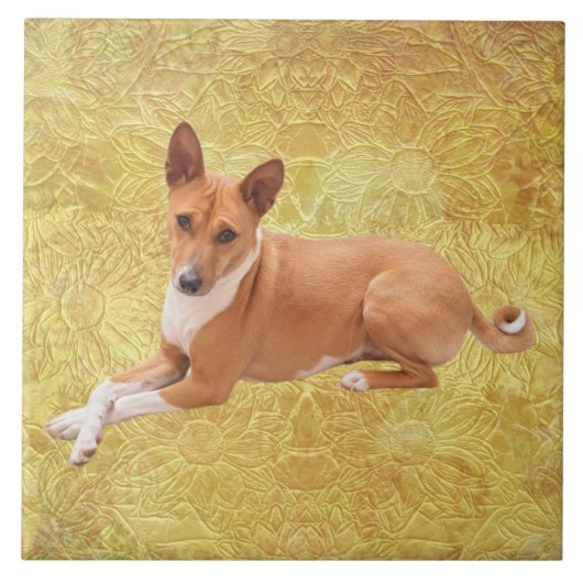Basenji Dog  タイル (正面)