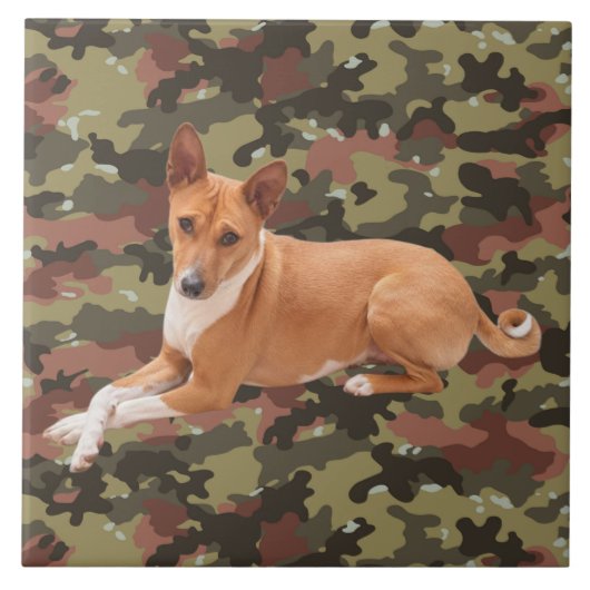 Basenji Dog  タイル (正面)