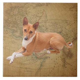 Basenji Dog  タイル