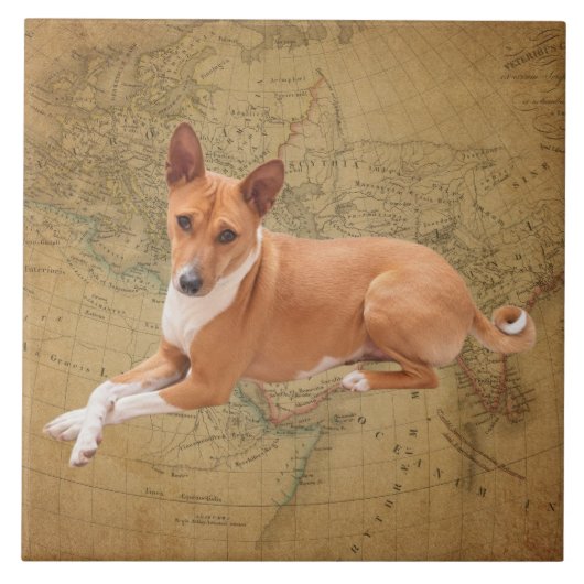 Basenji Dog  タイル (正面)