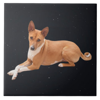 Basenji Dog  タイル