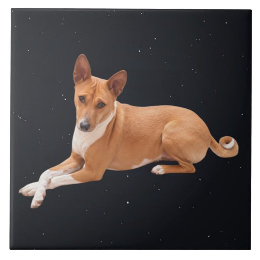 Basenji Dog  タイル (正面)