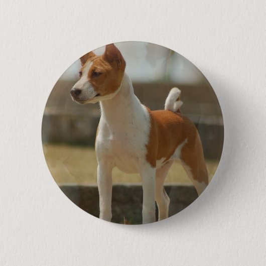 Basenji Pin 缶バッジ (正面)