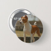Basenji Pin 缶バッジ (正面&裏面)