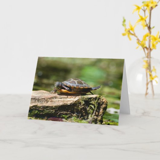 Bashful Turtle Birthday Card, 5x7 カード (黄色い花)