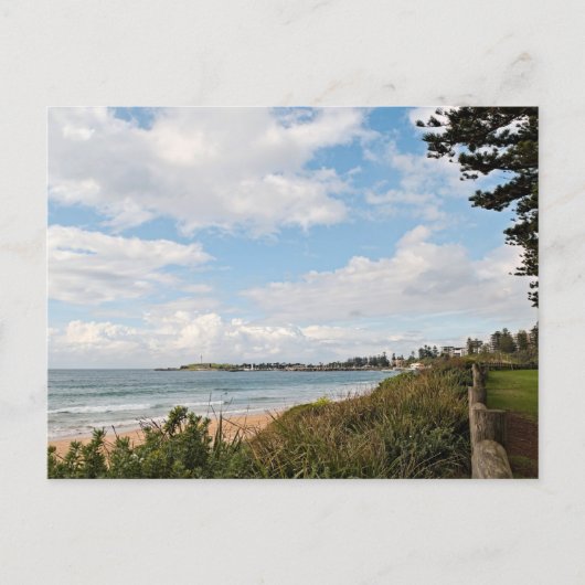 Basic semi gloss postcard ポストカード (正面)