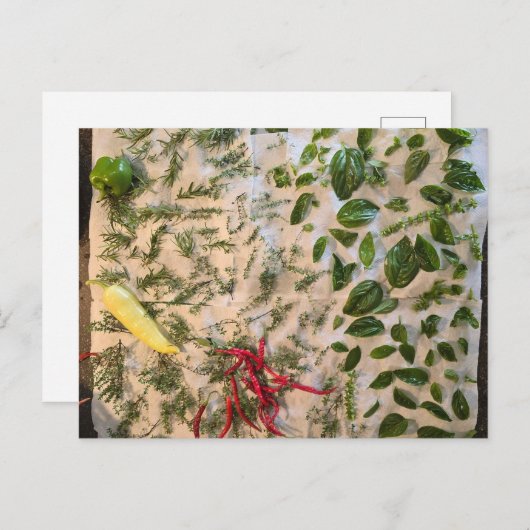 Basil and Peppers ポストカード (正面/裏面)