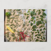Basil and Peppers ポストカード (正面)