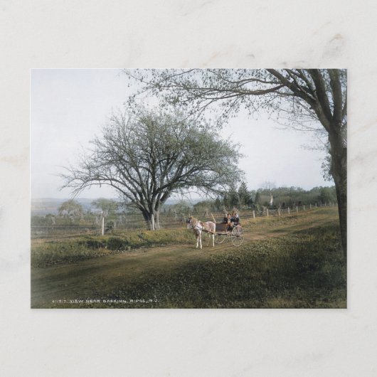 Basking Ridge NJ、日曜ドライブに出向、ヴィンテージ ポストカード (正面)