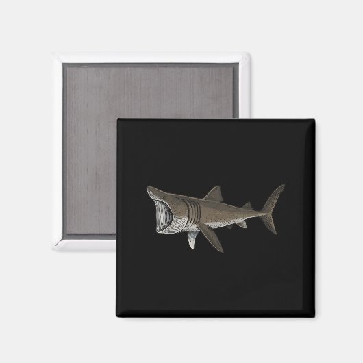 Basking Shark マグネット (正面/裏面)