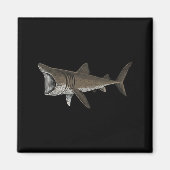 Basking Shark マグネット (正面)
