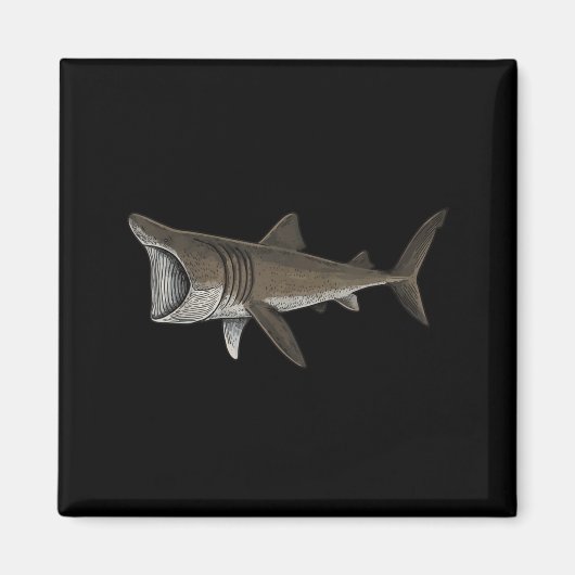 Basking Shark マグネット (正面)