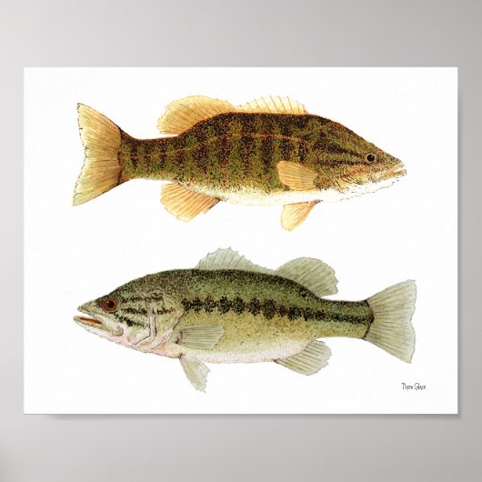 Bass – スモールマウスとLargemouth Bass Art ポスター (正面)