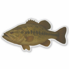 Bass Cut-out Sticker シール
