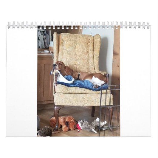 Bassetハウンドカレンダー24か月 カレンダー (カバー)
