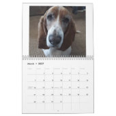 Bassetハウンドカレンダー24か月 カレンダー (3月 2027)