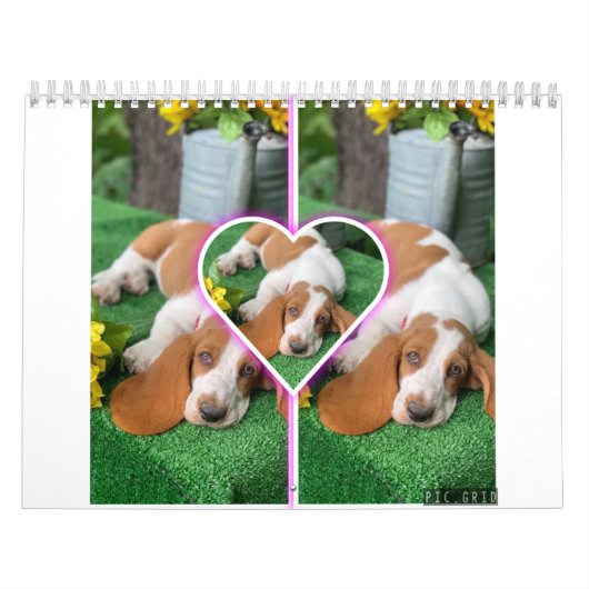 Bassetハウンドカレンダー カレンダー (カバー)