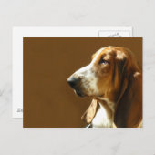 Bassetハウンド写真はがき ポストカード (正面/裏面)