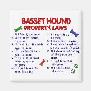 BASSETハウンド財産法2 マグネット