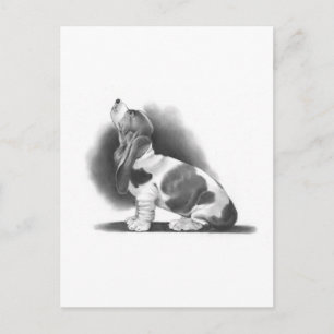 BASSET HOUND:鉛筆現実主義アート ポストカード
