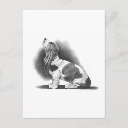 BASSET HOUND:鉛筆現実主義アート ポストカード (正面)