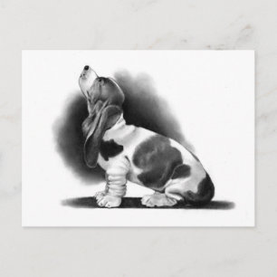 BASSET HOUND:鉛筆現実主義:パピー ポストカード