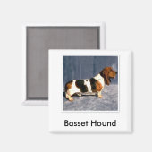 basset_hound 2, Basset Hound マグネット (正面/裏面)