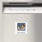 basset_hound 2, Basset Hound マグネット (インサイチュ (食洗機))