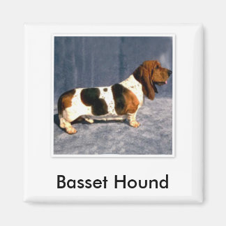 basset_hound 2, Basset Hound マグネット