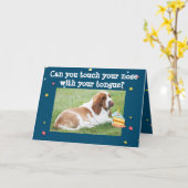 Basset Hound on おもしろい誕生日カードw/Cake & Nose カード (黄色い花)