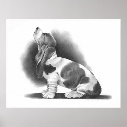 BASSET HOUND POSTER:鉛筆現実主義アート ポスター (正面)