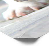 Basset Hound Puppy ポスター (角)