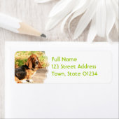 Basset Hound Siting Mailing Labels ラベル (インサイチュ)