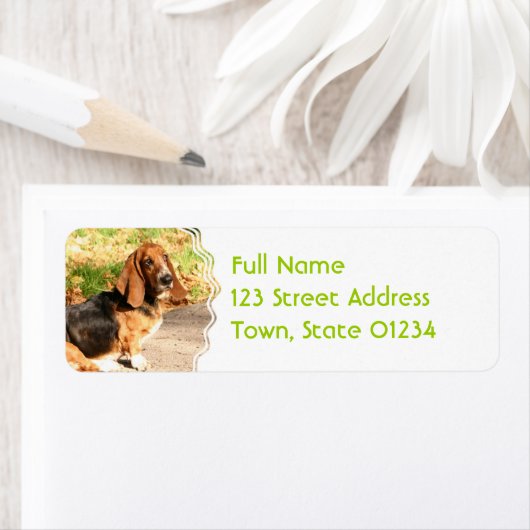 Basset Hound Siting Mailing Labels ラベル (インサイチュ)