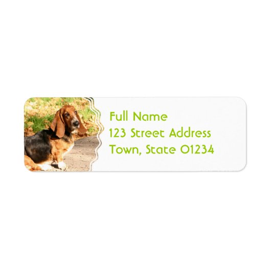 Basset Hound Siting Mailing Labels ラベル (正面)