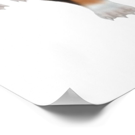 Basset Hound Trio Print ポスター (角)