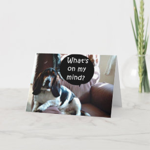 BASSET HOUND-YOU/ONLY YOU/ONLY YOU ARE MY MIND シーズンカード