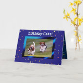 Basset Hounds on おもしろい誕生日カードw/Cake カード (黄色い花)