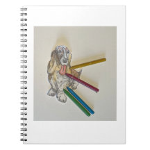 Bassieのノートブック