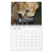 Bat/Fledermaus als Kalender カレンダー (1月 2027)