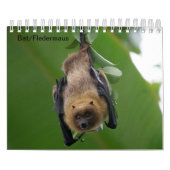 Bat/Fledermaus als Kalender カレンダー (カバー)