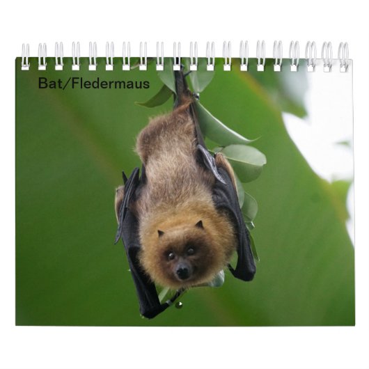 Bat/Fledermaus als Kalender カレンダー (カバー)