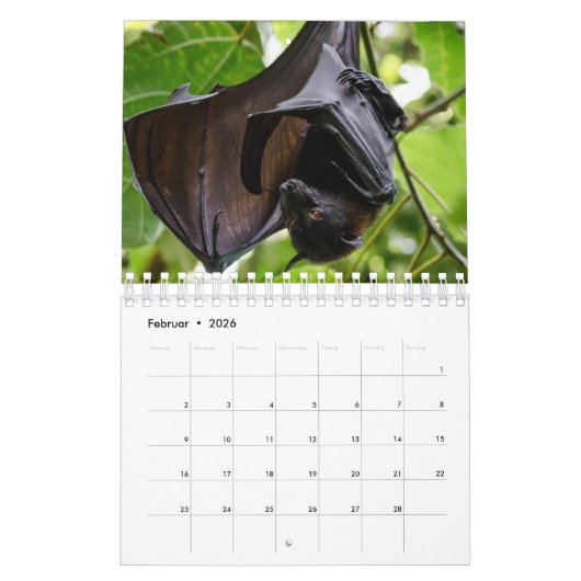 Bat/Fledermaus als Kalender カレンダー (2月 2026)